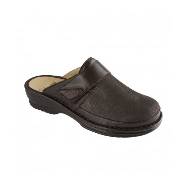 Scholl Seli Elastica Shoe Color Dark Brown Number 35