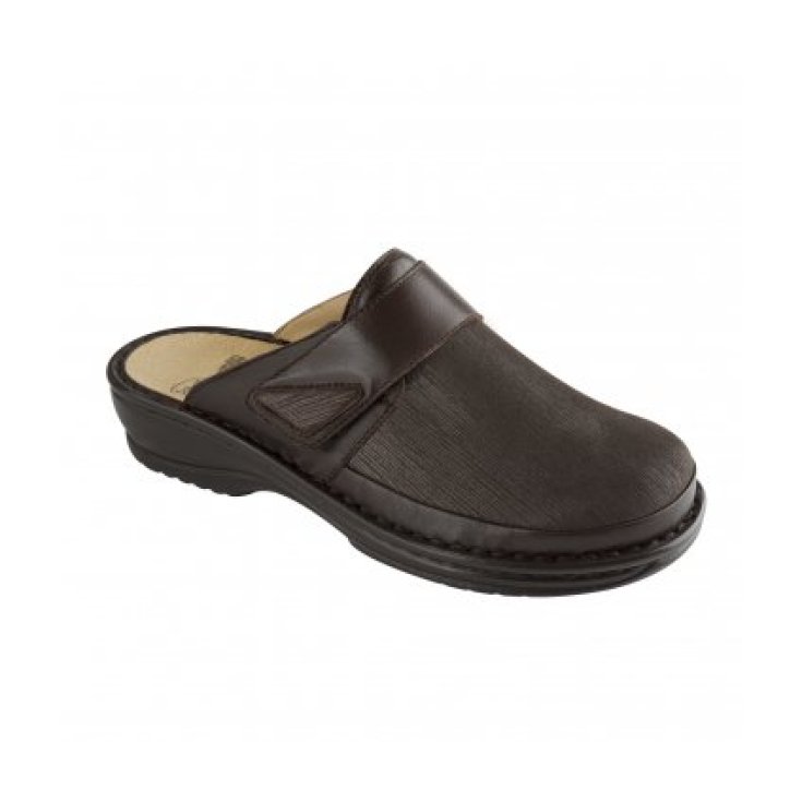 Scholl Seli Elastica Shoe Color Dark Brown Number 40