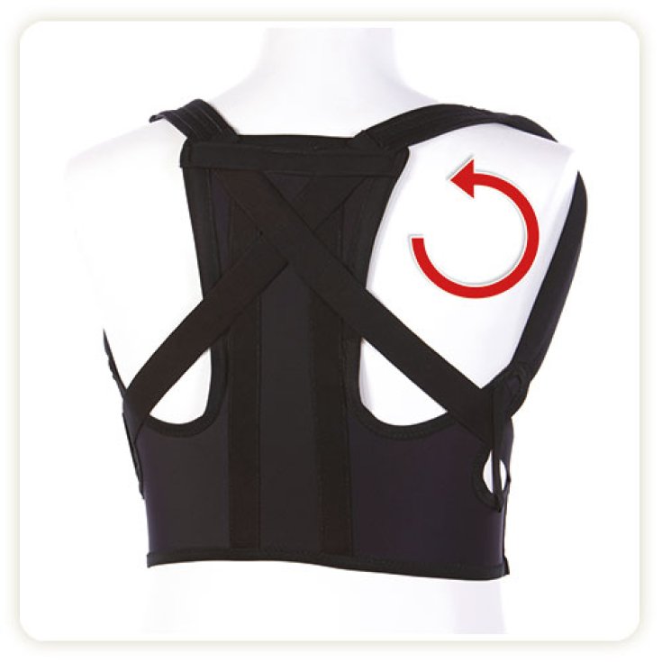 TLM Dorsoplus Shoulder Support Size S 1 Piece