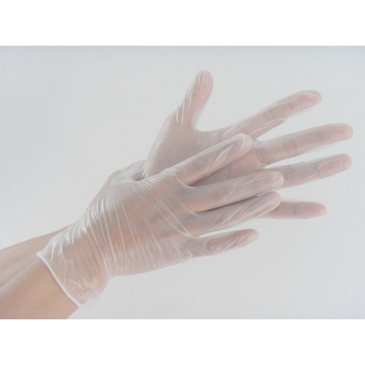 Gammadis Dust Free Vinyl Gloves Size L 100 Pieces