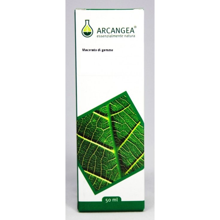 Arcangea Castanea Vesca Gemmoderivati Homeopathic Remedy 100ml