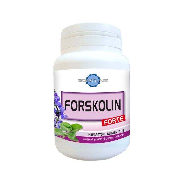 Forskolin Forte Food Supplement 60 Capsules