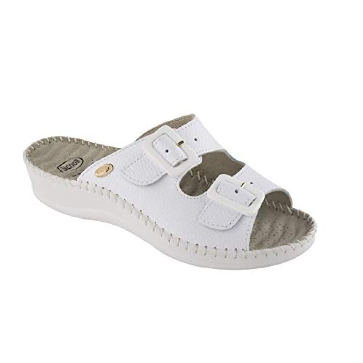 Scholl Weekend Bycast Slipper Woman White Color Size 39