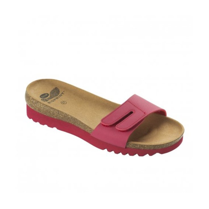 Scholl Luwin Slipper Woman Red Color Size 40