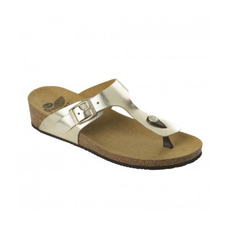 Scholl Gandia Women's Flip Flops Platinum Color Size 35