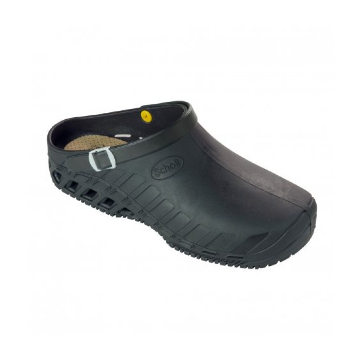 Dr Scholl Clog Evo Unisex Color Black Size 39-40