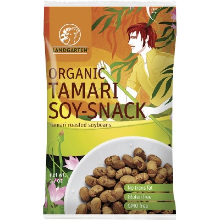 Fior di Loto Toasted Soybean Snack With Tamari 50g