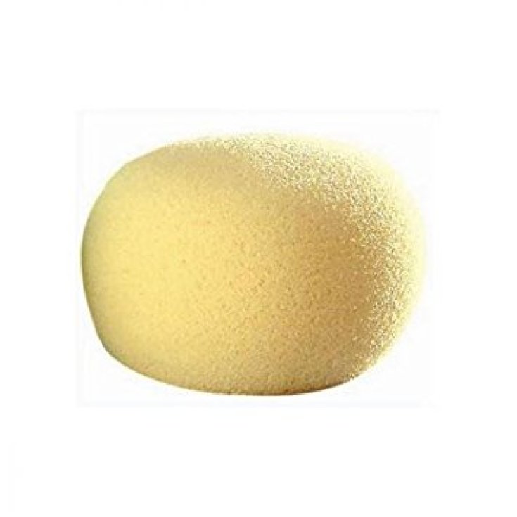 Bebe Confort Round Sponge