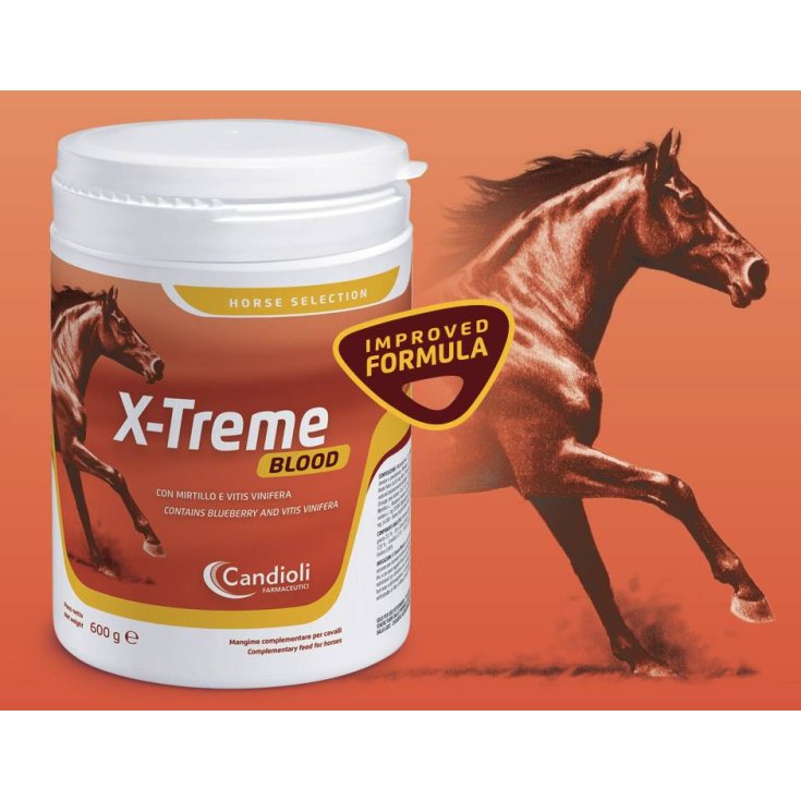 X-treme Blood 600g