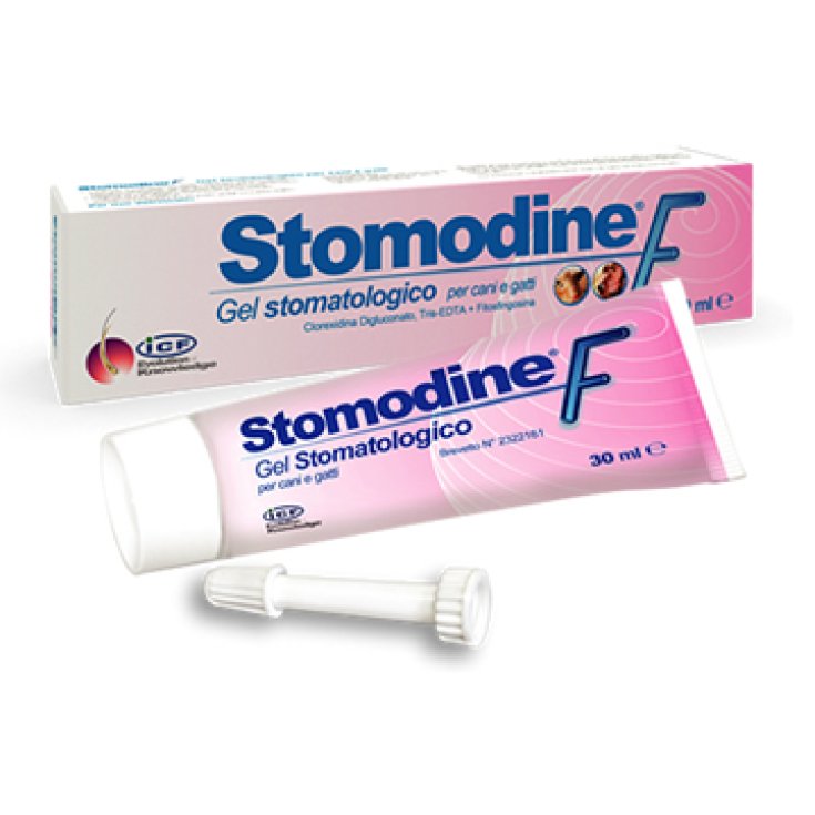 Icf Stomodine F Stomatological Gel 30ml