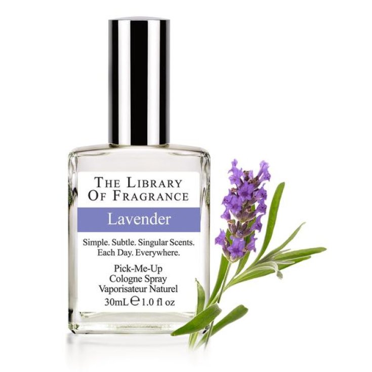 The Library Of Fragrance Lavender Fragrance 30ml