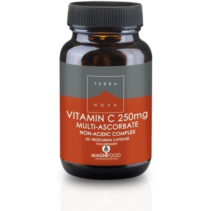 Terra Nova Vitamin C 250mg Food Supplement 50 Capsules
