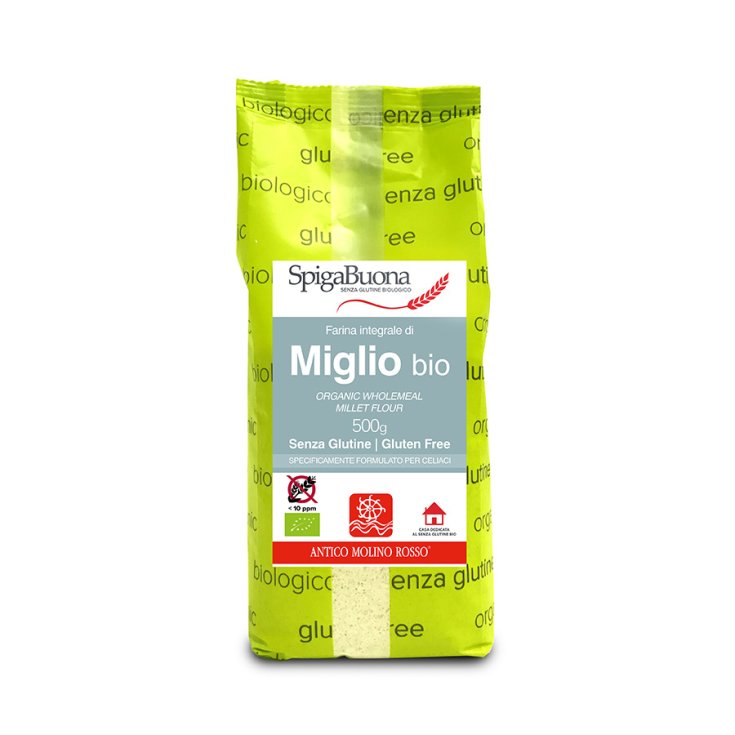 SpigaBuona Organic Whole Millet Flour Gluten Free 500g