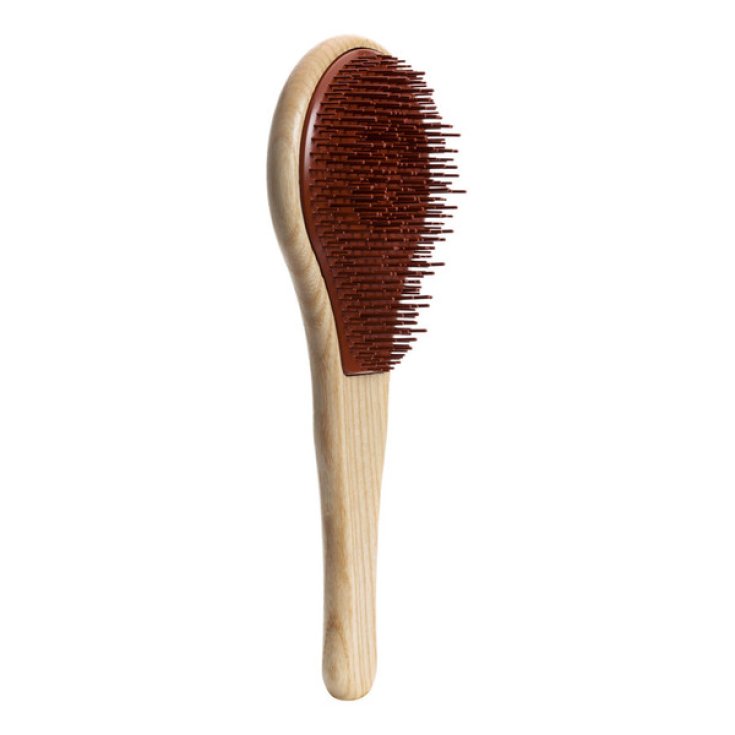 Michel Mercier Natural Wood Wooden Brush For Curly Hair