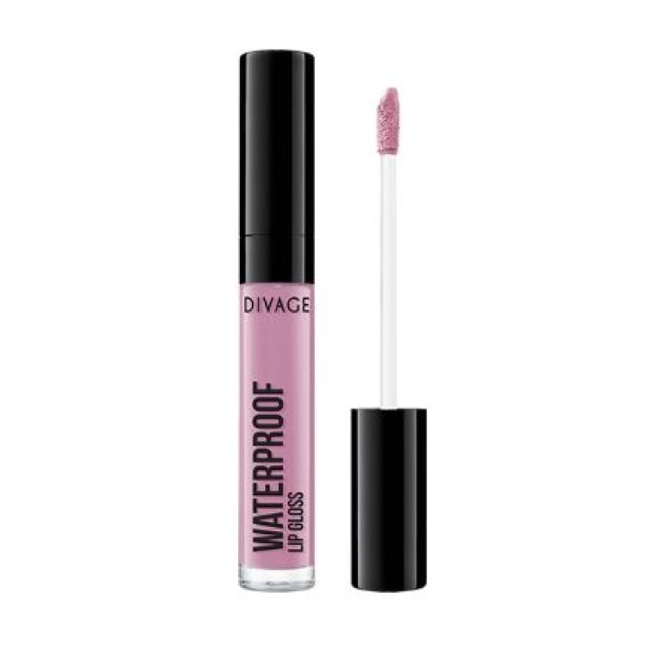 Divage Waterproof Long Lasting Lip Gloss 01 Antique Rose