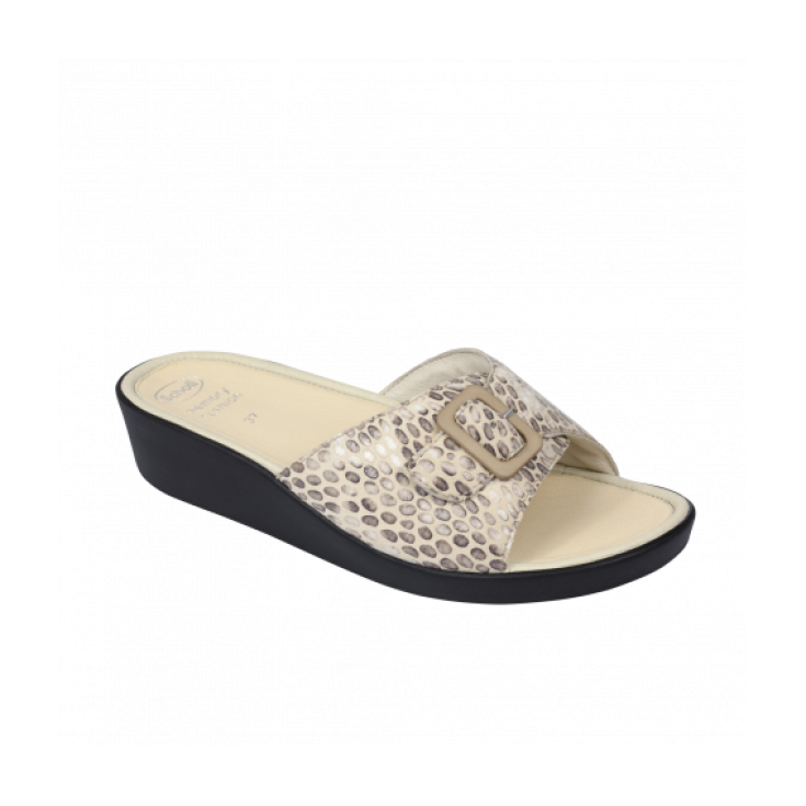 Scholl Mango Shoe Beige Color Number 35