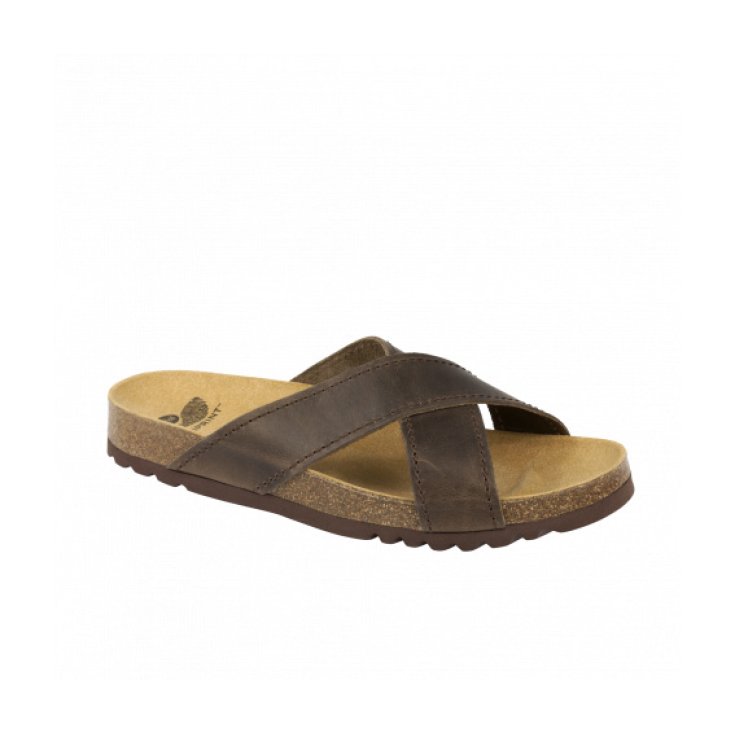 Dr Scholl Tangor Slipper Man Crossed Bands Brown Color Size 46