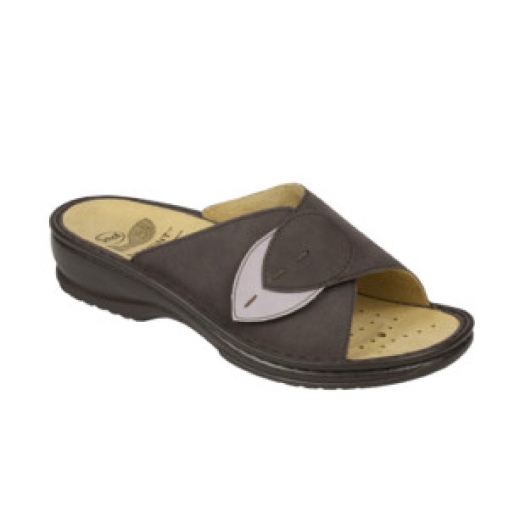 Dr Scholl Dama Removable Woman Slipper Plum Color Size 39