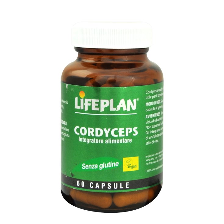 Lifeplan Products Cordyceps Food Supplement Gluten Free 60 Capsules