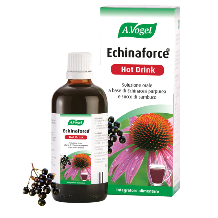 Echinaforce Hot Drink Food Supplement 100ml