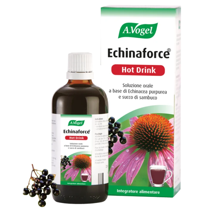 Echinaforce Hot Drink Food Supplement 100ml