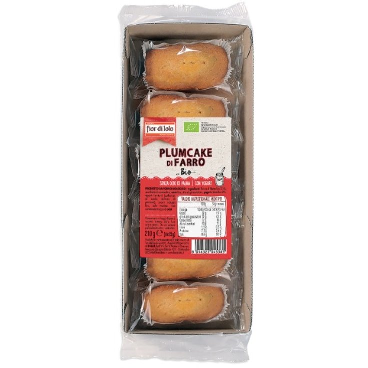 Fdl Plumcake Spelled Yogurt Bio 6x35g