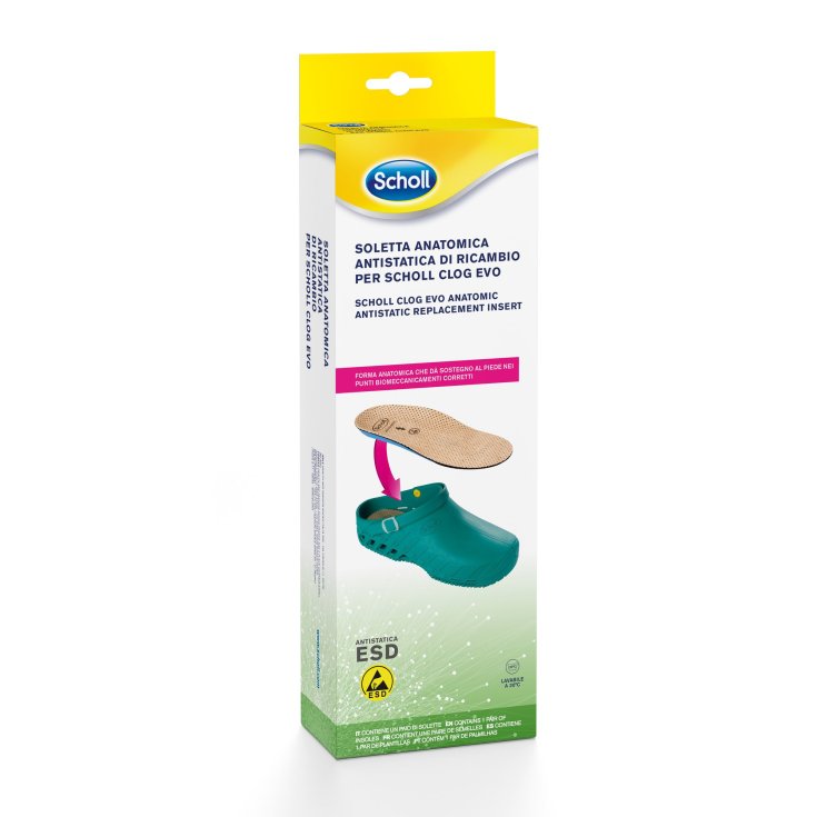 Scholl Clog Evo Anatomic Antistatic Replacement Insoles Size 36-37 1 Pair Scholl Clog Evo Anatomic Antistatic Replacement Insoles Size 36-37 1 Pair