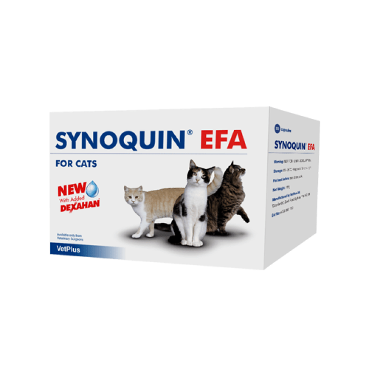 Vetplus Synoquin Efa Cat Complementary Feed 30 Capsules
