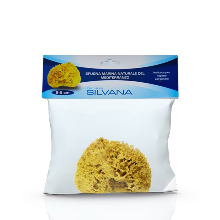Laboratorio Silvana Since 1939 Natural Mediterranean Sea Sponge Indicated For Personal Hygiene 8-9cm 1 Piece