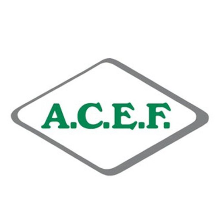 Potassium Iodide ACEF 100g