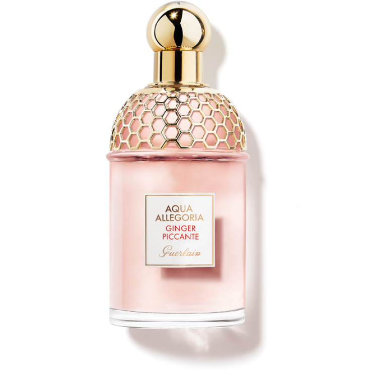 GUERLAIN AQUA ALLEG GINGER EDT125V