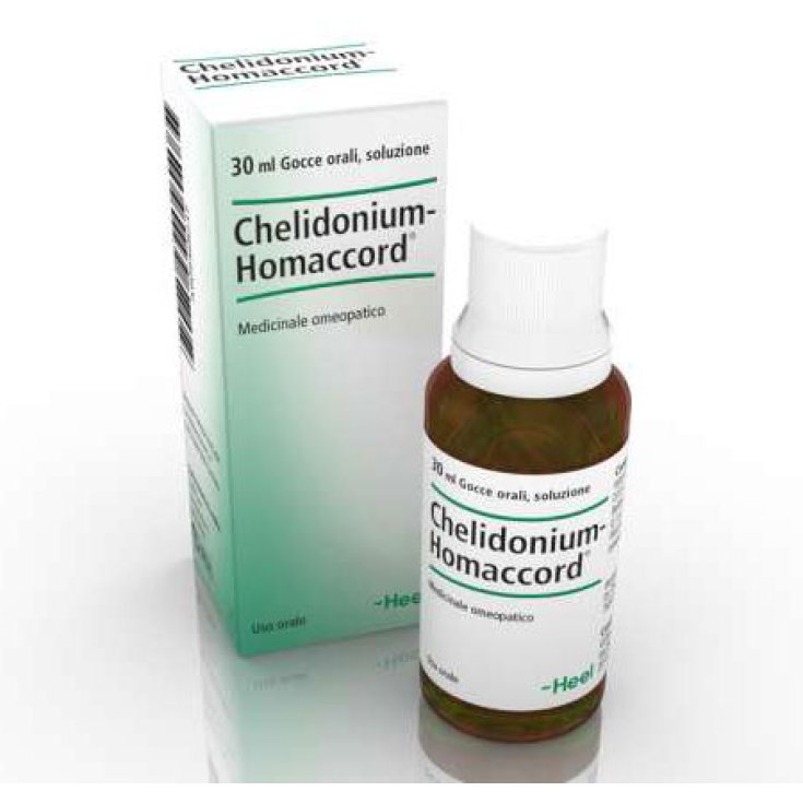 Chelidonium Homaccord Heel Drops 30ml