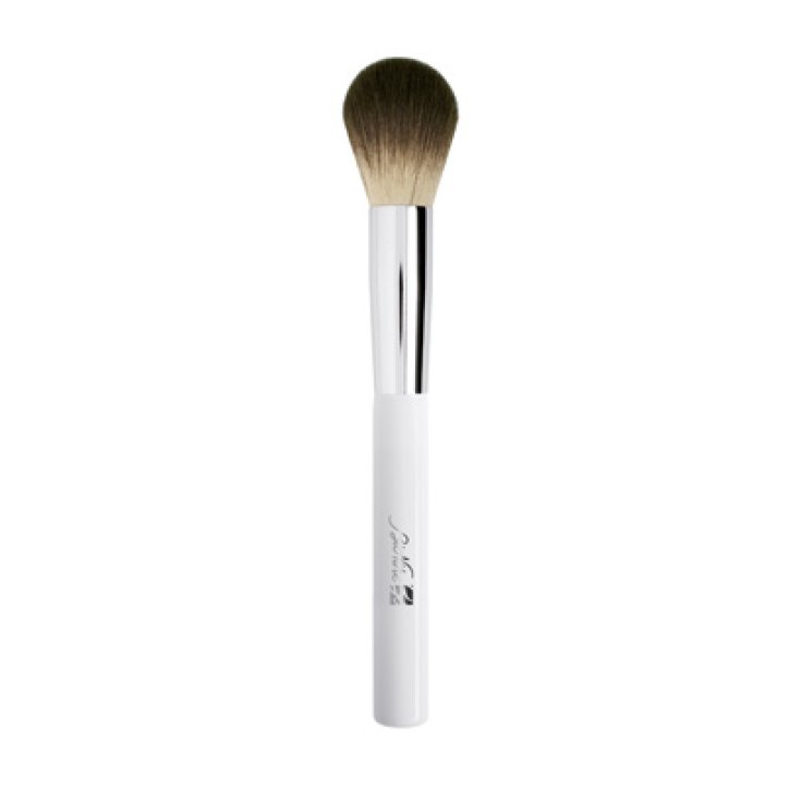 Defense Color BioNike Blusher Brush - Loreto pharmacy