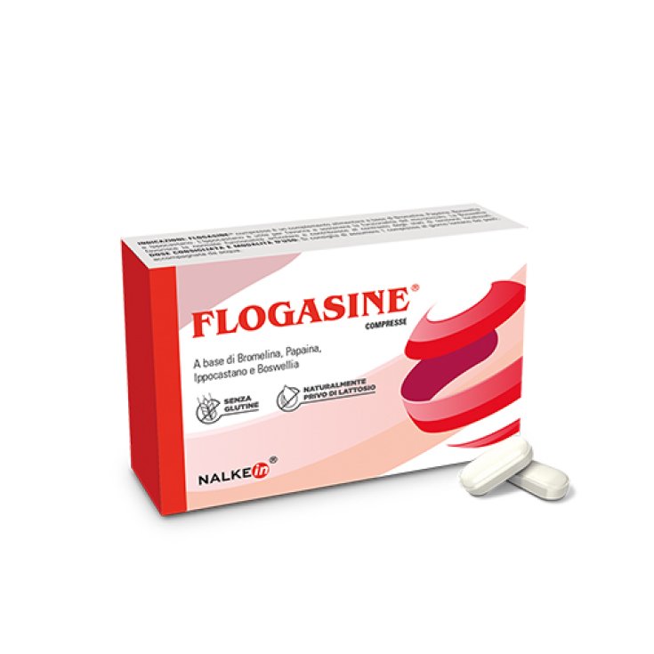Flogasine® Nalkein® 20 Tablets