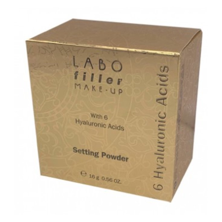 Labo Filler Make-Up Universal Powder Fixer 31 Labo