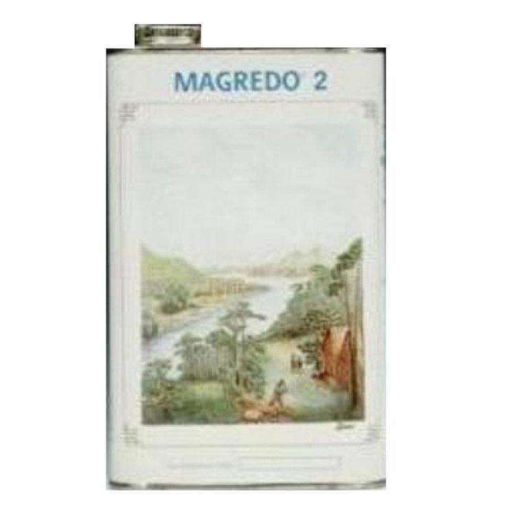 Magredo® 2 Vegetal Progress Maple Syrup 1320g