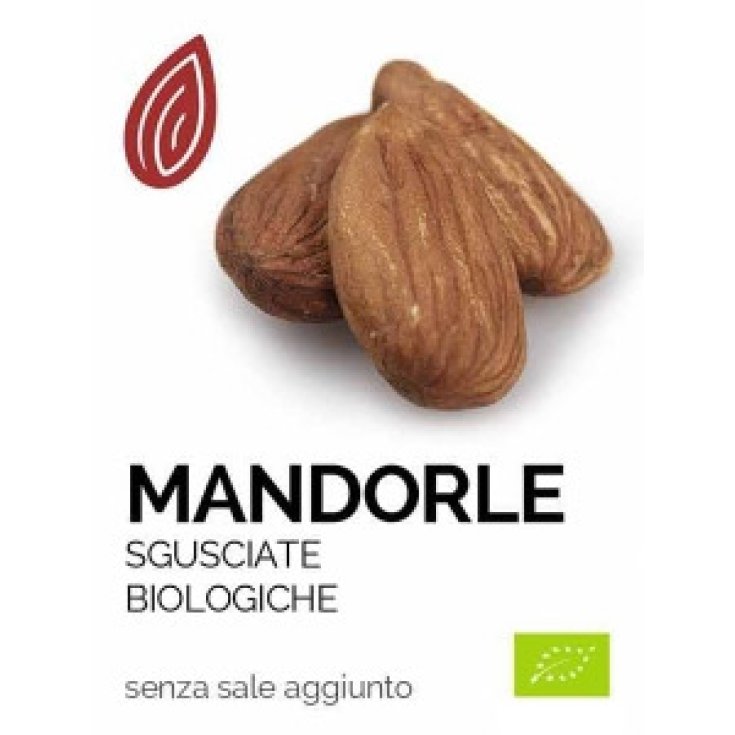 Organic Shelled Almonds Euro Company 100g