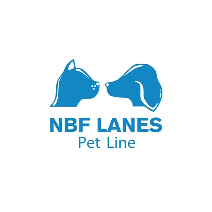 Virfeg Dog And Cat NBF Lanes 15 Capsules