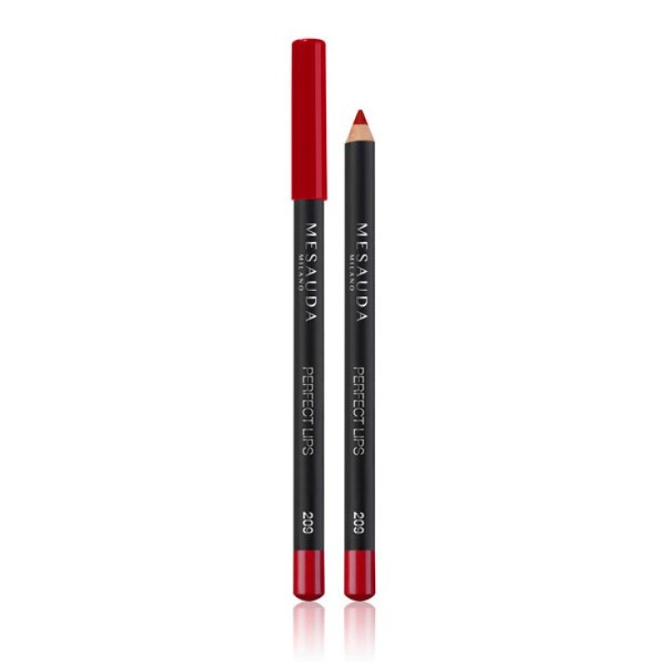 Mesauda Perfect Lips Lip Pencil 101