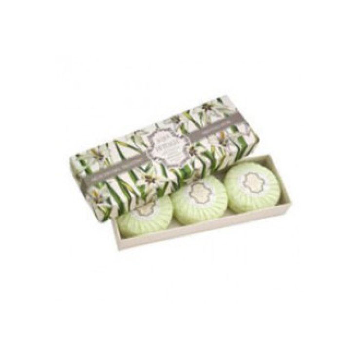 Waters Of Italy Moss Of Trentino Box Of 3 Soaps