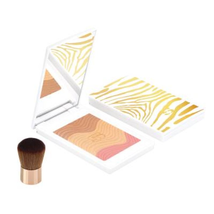 SISLEY P / TOUCHE POUDRE E / SOL 2 11G