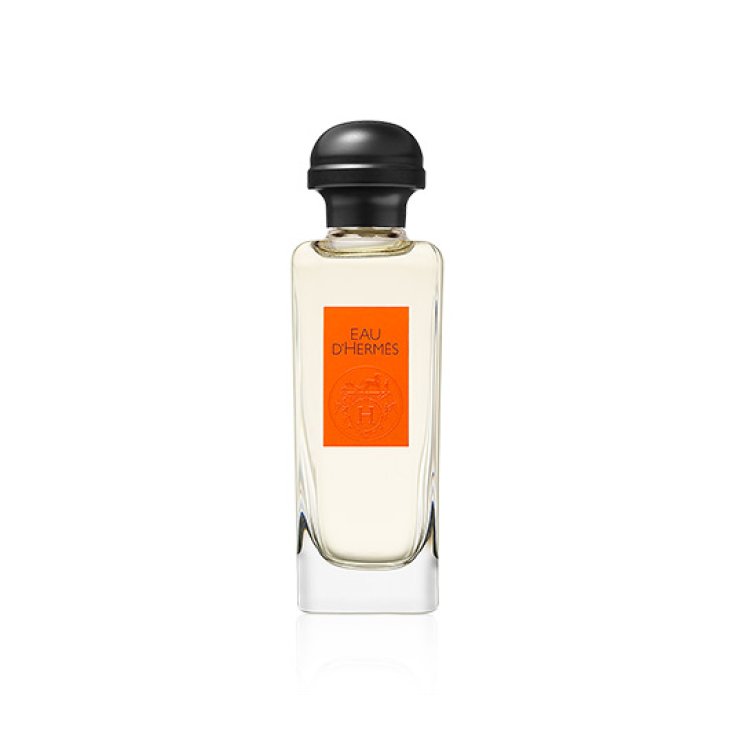 Hermès Eau D'Hermès Eau De Toilette Spray 100ml