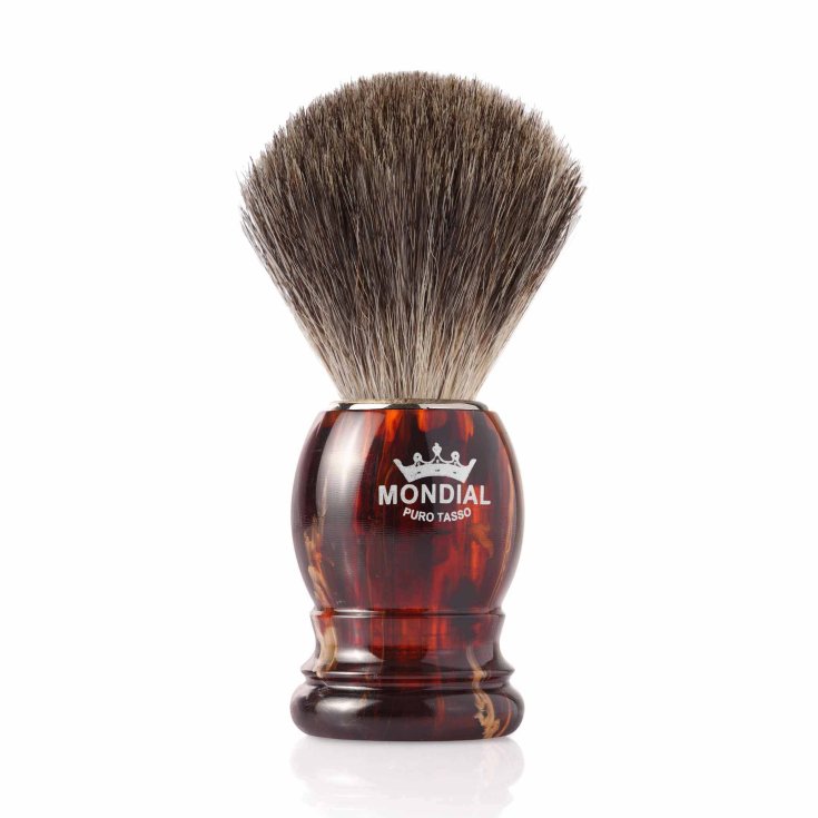 Mondial Boston Badger Turtle Brush 1 Piece