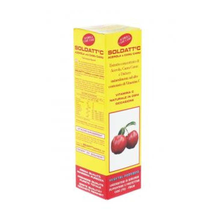 Soldatt® C Acerola E Camu Camu Vegetal Progress 100ml