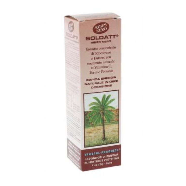 Soldatt® Black Currant Vegetal Progress 100ml