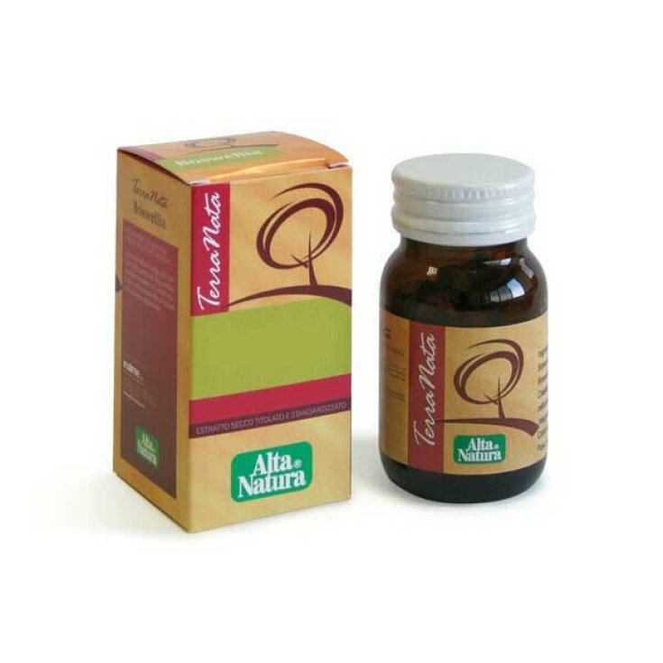 Terranata Devil's Claw Alta Natura® 45 Capsules