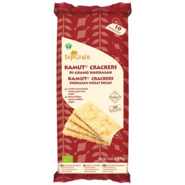 Top Grain Crackers Of Kamut Salted On The Surface Probios 290g