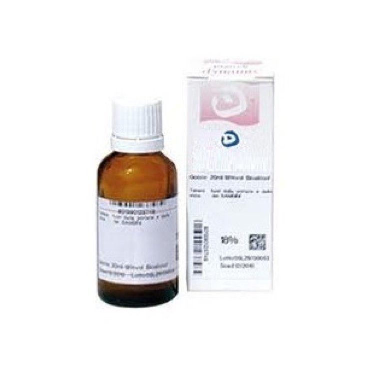 UNDA Symphytum Officinalis 9CH Drops Homeopathic Medicine 10ml