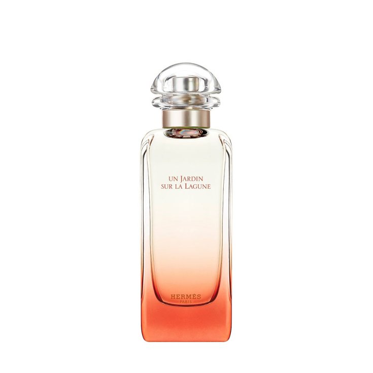 HERMES JARDIN SUR LA LAGUNE EDT100