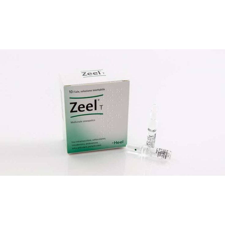 Zeel T Heel 10 Vials Of 2.2ml